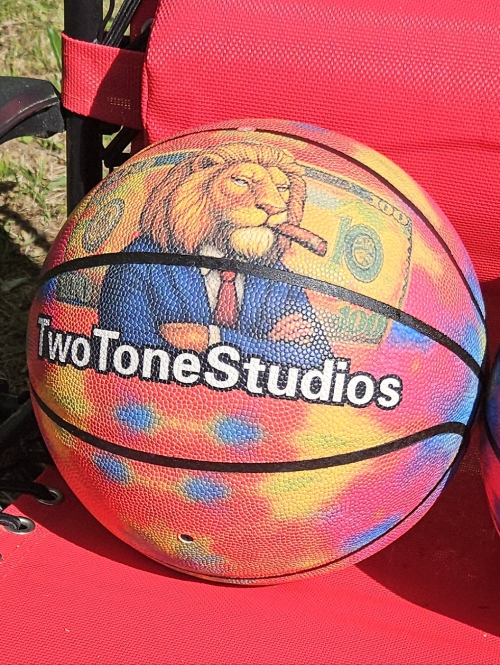 Two Tone Studios Rainbow Tie-Dye Outdoor Basketball - Lion Graphic